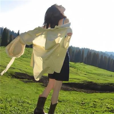 田凫