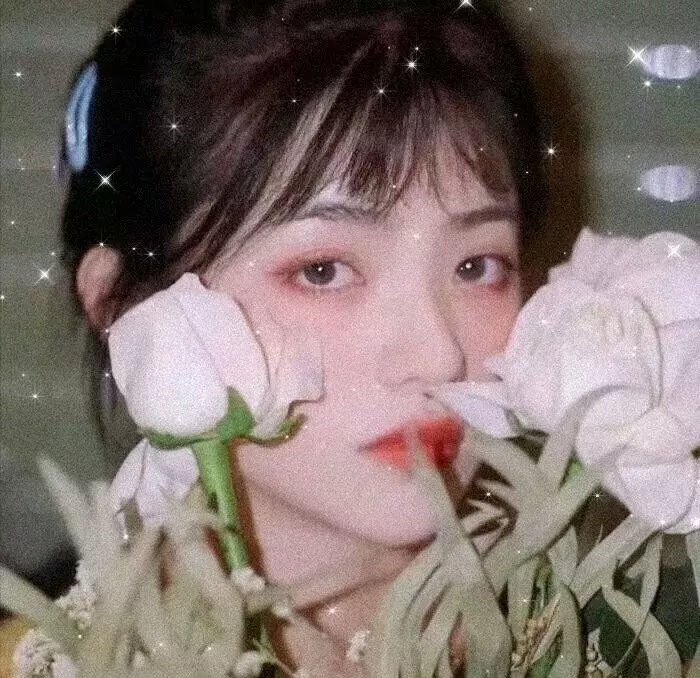 绝对之爱